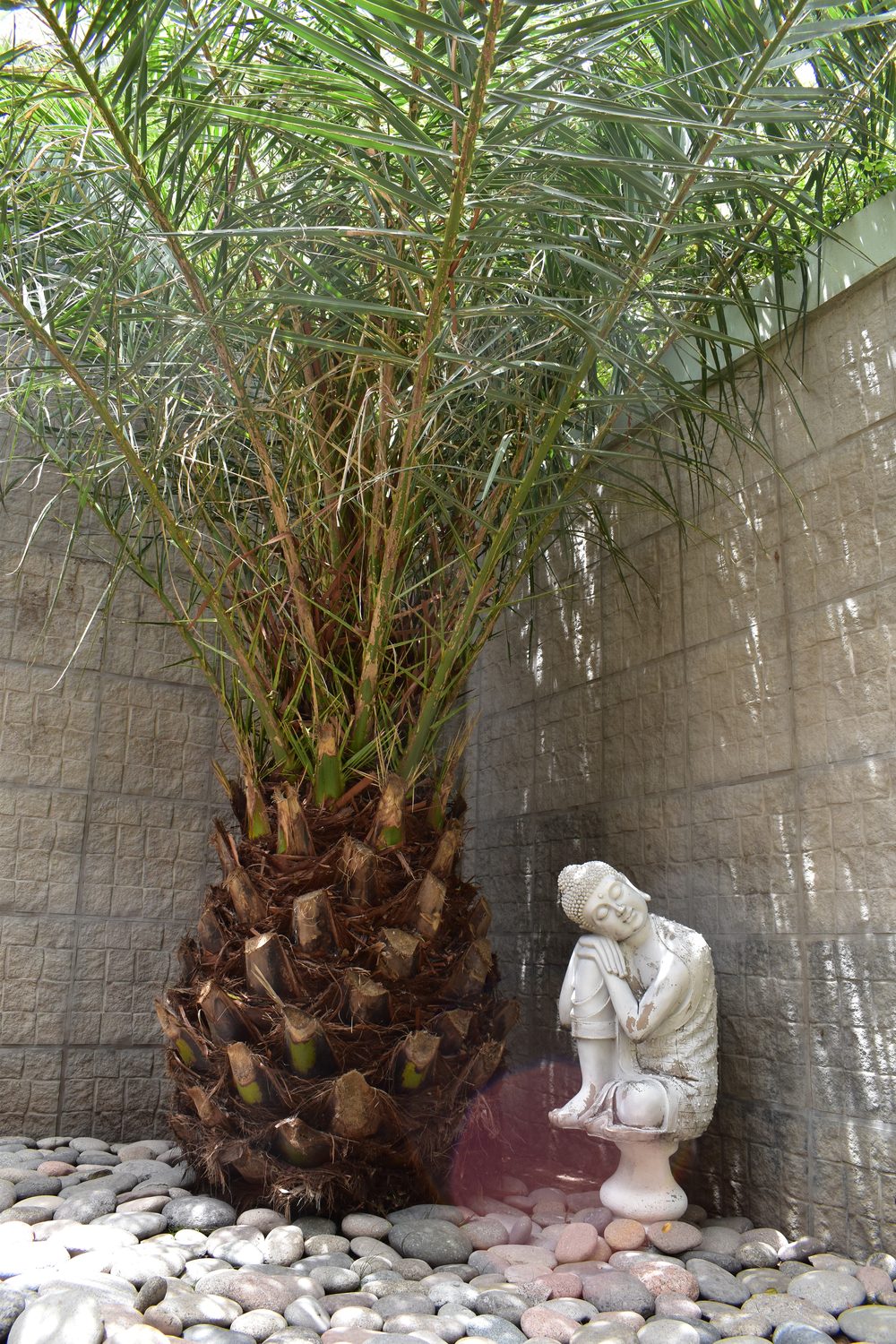 Patio Zen de Casa Amatista